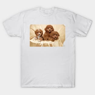 Poodle Puppies Digital Painting T-Shirt